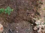 Aliran Limbah RPH PT Lembumas Inti Perkasa di Dusun Amburan Masih Belum Ada Tindakan Dari Pemdes Setempat