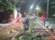 Pohon Tumbang di Jalan Kedung Cowek, Pimpinan Redaksi Media Jadi Korban, DLH Surabaya Bungkam