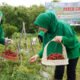 Img 20241220 Wa0161