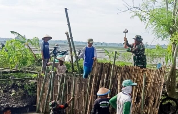 Semangat Juang Tak Kenal Lelah, Babinsa Kodim Bojonegoro dan Masyarakat Benahi Tanggul Jebol