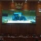 Mediacahayabaru.id Orbitnasional.com Bojonegorotimes.id Amunisinews.id 34