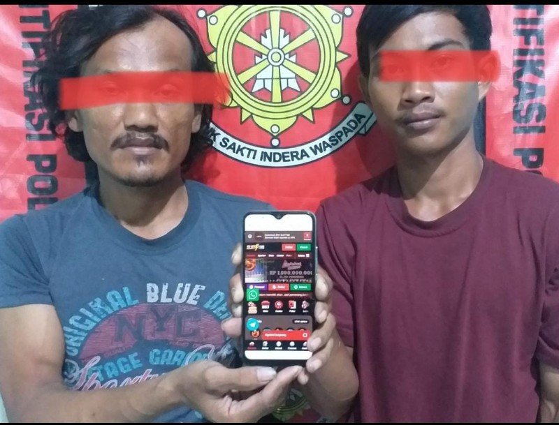 Mediacahayabaru.id Orbitnasional.com Bojonegorotimes.id Amunisinews.id 233