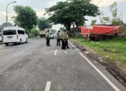 Grand Max Adu Banteng Dengan Truk Tronton di Jalan Pantura Tuban-Widang 