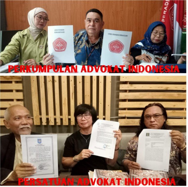 Mediacahayabaru.id Orbitnasional.com Bojonegorotimes.id Amunisinews.id 8