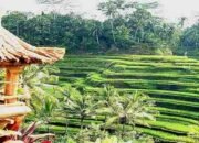 Destinasi Wisata Ubud di Bali