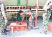 Dukung Ketahanan Pangan, Koramil Jajaran Kodim Bojonegoro Budidaya Ayam Petelur