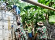 Babinsa Koramil Kanor Bojonegoro bantu Evakuasi Pohon Roboh yang Menimpa Rumah Warga