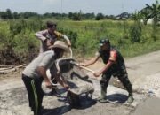 Gotong royong antara TNI dan warga dusun Telogorejo dan desa gampangsejati dikecamatan laren kab.lamongga