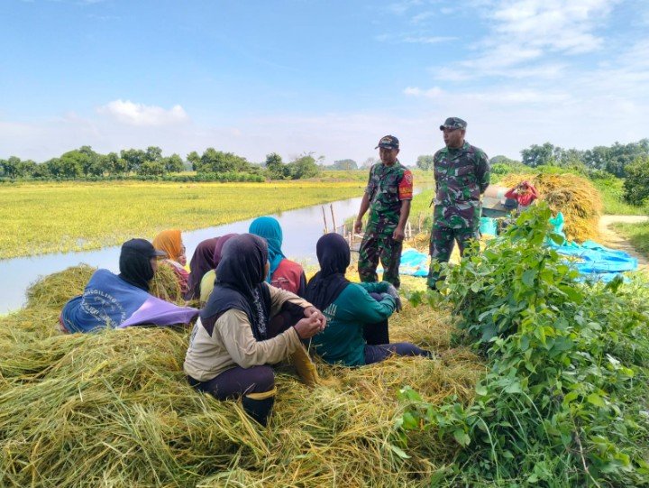 Img 20250312 Wa0026 Copy 720x541