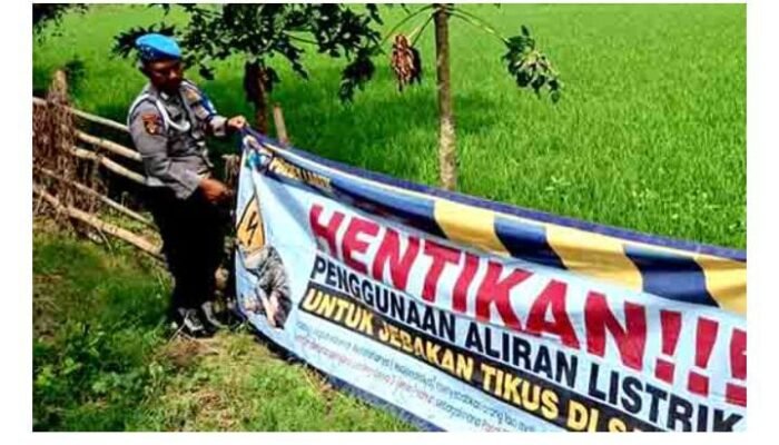 Petani Dihimbau Tidak Menggunakan Jebakan Tikus Beraliran Listrik oleh Polsek Laren