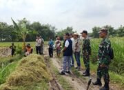 Koramil Modo Dampingi Tim Sergap di Lamongan
