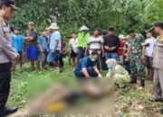 Pencari Ikan Asal Desa Sidomulyo Lamongan Ditemukan Oleh Warga di Sungai Tak Bernyawa
