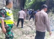 Koramil Ngimbang Bersama Instasi Terkait Mengevakuasi Pohon Tumbang