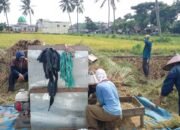 Pupuk Langka, Pemkab Bojonegoro Lempar Tanggung Jawab