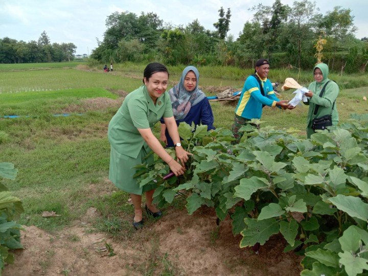 Img 20250402 Wa0006 Copy 720x540