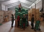 Jajaran Babinsa Kodim Lamongan Aktif Mengawasi Proses Distribusi Gabah Agar Hasil Panen Bisa Dijual ke Bulog