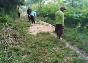 Koramil Modo Bersama Masyarakat Giat Kerja Bakti Memperbaiki Jalan TPU Dengan Kompak