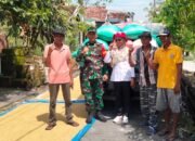 Kaloborasi Koramil Turi Dengan Bulog Untuk Mensejahterakan Petani di Lamongan