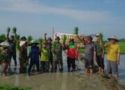 Koramil Modo Sukseskan Progaram Pemerintahan Pertahanan Panggan Dengan Kongrit