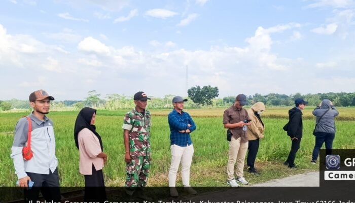 Babinsa dan Bulog Bersinergi, Petani Bakalan Bojonegoro Rasakan Manfaatnya