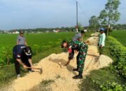 Dukung BBGRM, Jajaran Babinsa Kodim Bojonegoro Karya Bakti Bersama Masyarakat