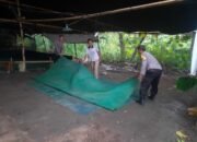 Arena Judi Sabung Ayam di Nganjuk Dibongkar Polisi