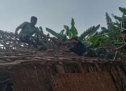 TMMD Ke-124 Kodim Lamongan: Harmoni Pengabdian TNI Dan Rakyat Bangun Desa Kebalankulon