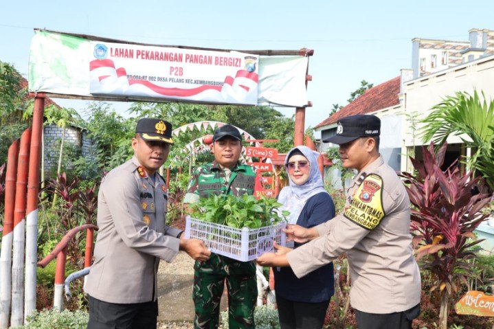 Img 20250510 Wa0031 Copy 719x479