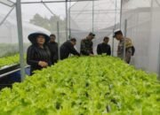 Polsek Pesantren Dukung Ketahanan Pangan di Kampung Tani Dengan Greehouse Tanaman Sayuran