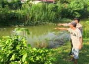 Tragedi di Sungai Ngampel Lamongan: Bocah 10 Tahun Tewas Tenggelam Saat Bermain