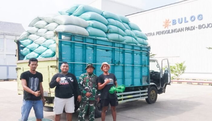 Babinsa Bojonegoro Kawal Panen, Petani Untung