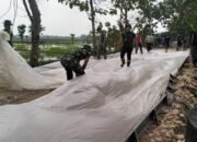 Satgas TMMD Ke-124 Kodim Lamongan bersama Warga Bahu-Membahu Bangun Jalan yang Kuat dan Tahan Lama