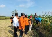 Sinergi Koramil Mantup Dan BPS Provinsi Jatim: Mengoptimalkan Data Pertanian Untuk Kemakmuran Petani