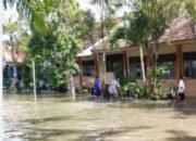 Derasnya Hujan, Sungai Kruwul Meluap – Dua Desa di Lamongan Terendam