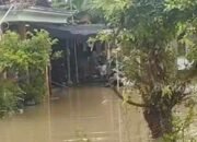 Banjir Bengawan Solo Kembali Landa Lamongan: Desa-Desa Tenggelam Dalam Genangan, Warga Bertahan Di Tengah Derasnya Ujian