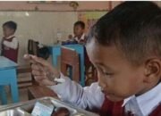 Makan Gratis Di Sekolah Desa: Wajah Baru Harapan Anak-anak Lamongan