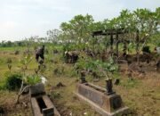 Menjelang Idul Adha, Babinsa an Warga Doyomulyo Bersatu Dalam Semangat Gotong Royong Membersihkan Makam