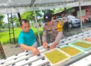 Gelorakan Swasembada Pangan, Polisi di Sidoarjo Ajak Warga Kembangkan Tanaman Hidroponik