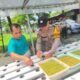 Img 20250531 wa0018