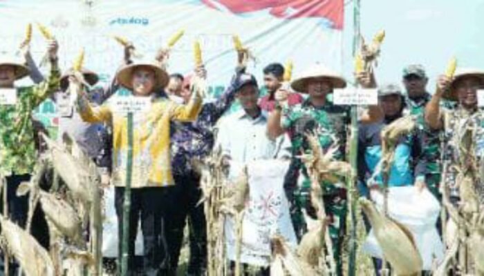 Lamongan Bersiap Menjadi Poros Industri Pakan Ternak Terbesar Se-Asia Tenggara
