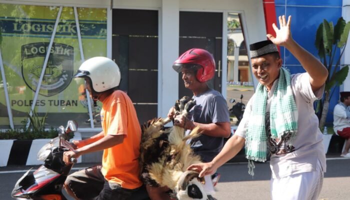 33 Hewan Kurban Disalurkan, Polres Tuban Tebar Kebahagiaan di Hari Raya Idul Adha