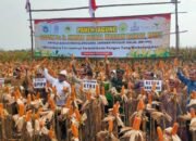 Sinergi untuk Negeri: Kasdim 0812 Dan Forkopimda Lamongan Sambut Kepala BPJPH Dalam Harmoni Ketahanan Pangan
