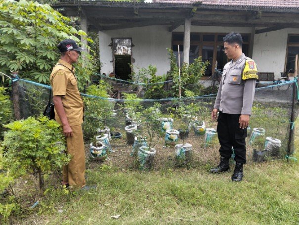 Img 20250612 wa0096 copy 605x455