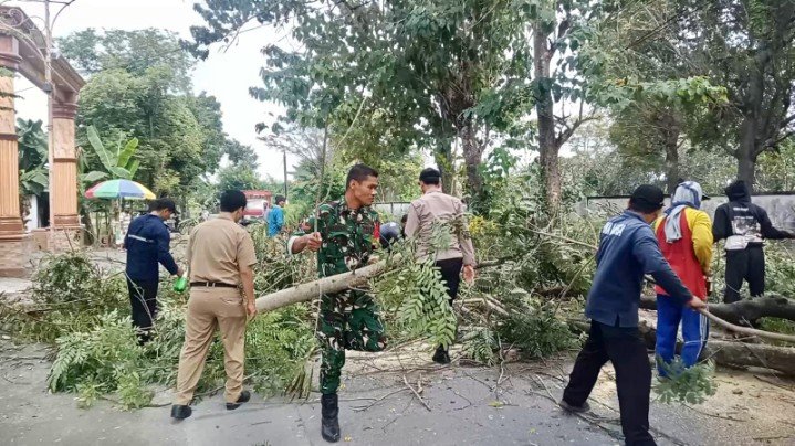 Img 20250613 wa0053 copy 719x404