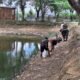 Img 20250618 wa0029