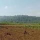 Img 20250623 wa0067