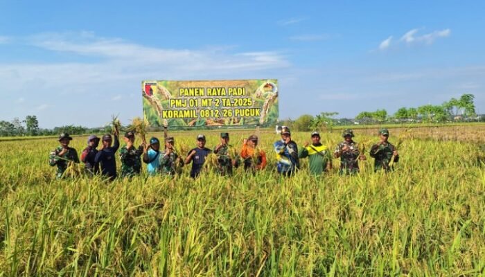 Semangat Kebersamaan Warnai Panen Raya Di Desa Wanar, Kecamatan Pucuk