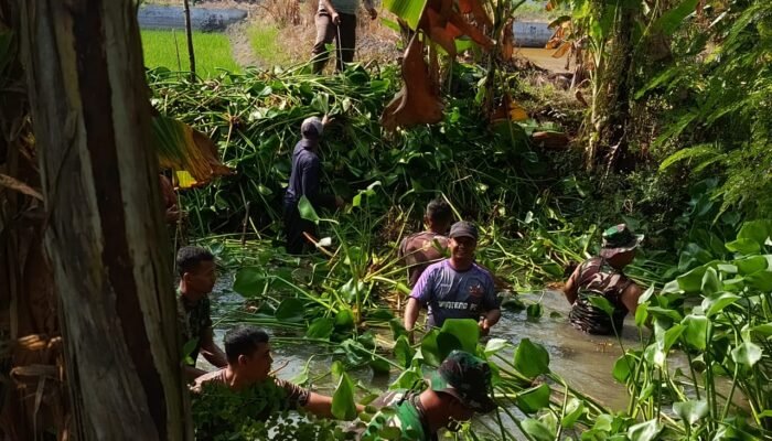 Kodim Lamongan Bersama Warga Gelar Karya Bhakti: Bersihkan Sungai, Tangkal Banjir, Jaga Alam