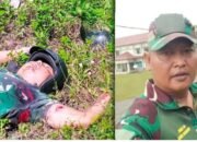 Prajurit TNI Tewas di Papua, Penembakan Brutal Gegerkan Yahukimo