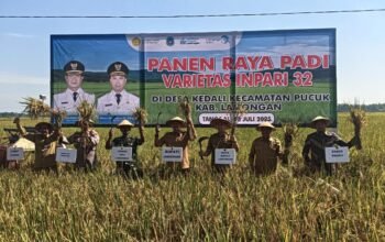 Semangat Swasembada Pangan: Bupati Lamongan Pimpin Panen Raya Padi Inpari 32 Di Desa Kedali Kecamatan Pucuk Kabupaten Lamongan